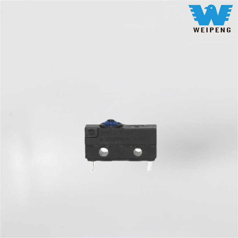 Producția de încărcător pentru vehicule electrice mic obișnuit microcomutator impermeabil